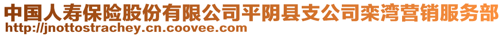 中國人壽保險股份有限公司平陰縣支公司欒灣營銷服務(wù)部