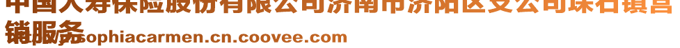 中國人壽保險股份有限公司濟(jì)南市濟(jì)陽區(qū)支公司垛石鎮(zhèn)營
銷服務(wù)