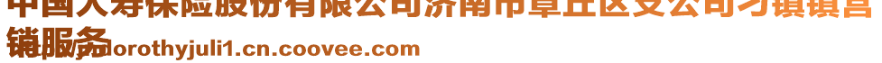 中国人寿保险股份有限公司济南市章丘区支公司刁镇镇营
销服务