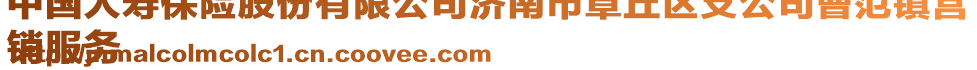 中國(guó)人壽保險(xiǎn)股份有限公司濟(jì)南市章丘區(qū)支公司曹范鎮(zhèn)營(yíng)
銷(xiāo)服務(wù)