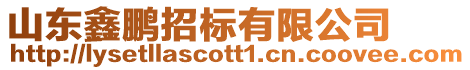 山東鑫鵬招標(biāo)有限公司