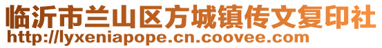 臨沂市蘭山區(qū)方城鎮(zhèn)傳文復(fù)印社