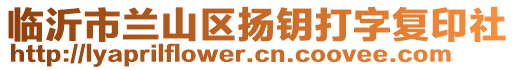 臨沂市蘭山區(qū)揚(yáng)鑰打字復(fù)印社