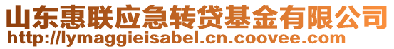 山東惠聯(lián)應(yīng)急轉(zhuǎn)貸基金有限公司