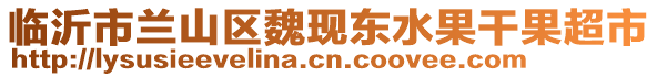 臨沂市蘭山區(qū)魏現(xiàn)東水果干果超市