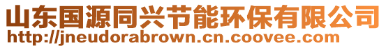 山東國(guó)源同興節(jié)能環(huán)保有限公司