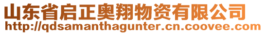 山東省啟正奧翔物資有限公司