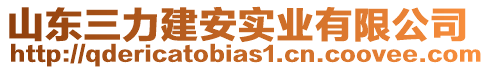 山東三力建安實業有限公司