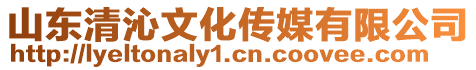 山東清沁文化傳媒有限公司