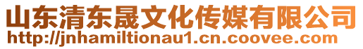 山東清東晟文化傳媒有限公司