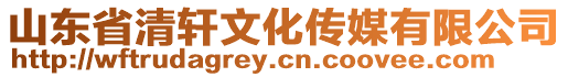 山東省清軒文化傳媒有限公司