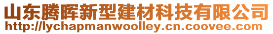 山東騰暉新型建材科技有限公司