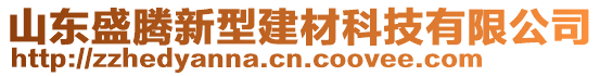 山東盛騰新型建材科技有限公司