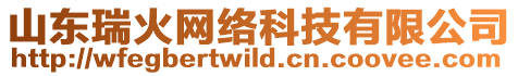 山東瑞火網(wǎng)絡(luò)科技有限公司