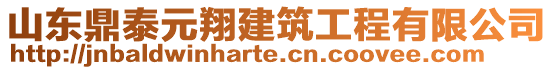 山東鼎泰元翔建筑工程有限公司