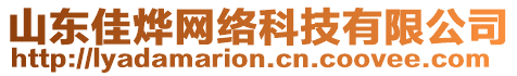 山東佳燁網(wǎng)絡(luò)科技有限公司