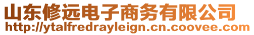 山東修遠(yuǎn)電子商務(wù)有限公司