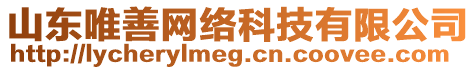 山東唯善網(wǎng)絡(luò)科技有限公司