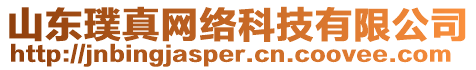 山東璞真網(wǎng)絡(luò)科技有限公司