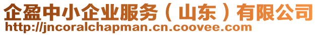 企盈中小企業(yè)服務(wù)（山東）有限公司