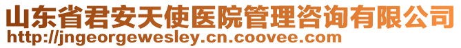 山東省君安天使醫(yī)院管理咨詢有限公司