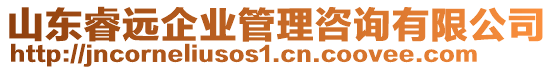 山東睿遠(yuǎn)企業(yè)管理咨詢有限公司