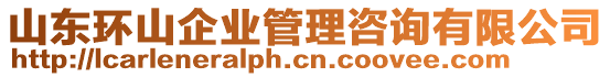 山東環(huán)山企業(yè)管理咨詢有限公司