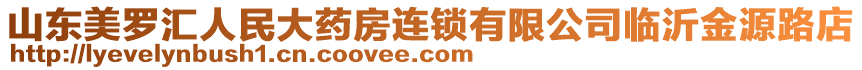 山东美罗汇人民大药房连锁有限公司临沂金源路店