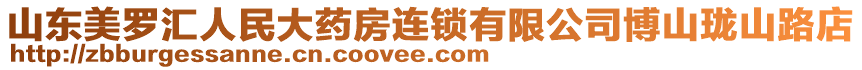 山东美罗汇人民大药房连锁有限公司博山珑山路店