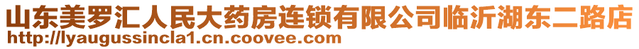 山东美罗汇人民大药房连锁有限公司临沂湖东二路店