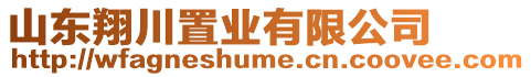 山東翔川置業(yè)有限公司