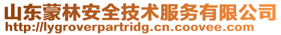 山東蒙林安全技術服務有限公司