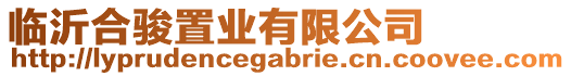 臨沂合駿置業(yè)有限公司