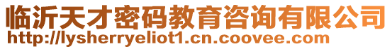 臨沂天才密碼教育咨詢有限公司