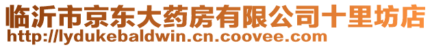 臨沂市京東大藥房有限公司十里坊店