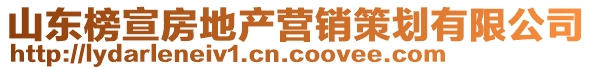 山東榜宣房地產營銷策劃有限公司