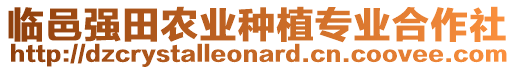 臨邑強(qiáng)田農(nóng)業(yè)種植專業(yè)合作社