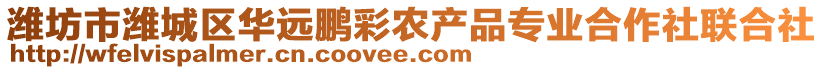 濰坊市濰城區(qū)華遠(yuǎn)鵬彩農(nóng)產(chǎn)品專業(yè)合作社聯(lián)合社