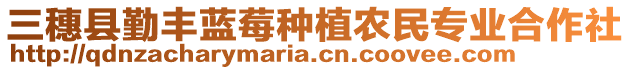 三穗縣勤豐藍(lán)莓種植農(nóng)民專業(yè)合作社