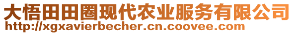 大悟田田圈現(xiàn)代農(nóng)業(yè)服務(wù)有限公司