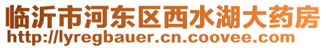 临沂市河东区西水湖大药房