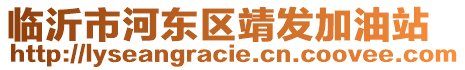 臨沂市河?xùn)|區(qū)靖發(fā)加油站