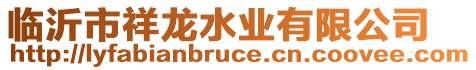 臨沂市祥龍水業(yè)有限公司