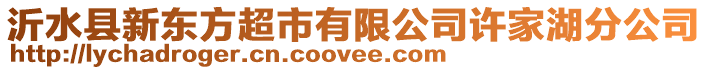 沂水縣新東方超市有限公司許家湖分公司