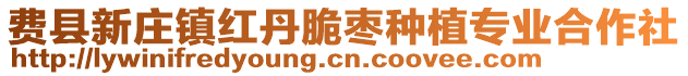 費(fèi)縣新莊鎮(zhèn)紅丹脆棗種植專業(yè)合作社