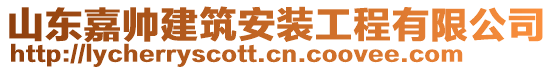 山東嘉帥建筑安裝工程有限公司