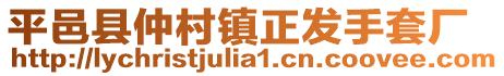 平邑縣仲村鎮(zhèn)正發(fā)手套廠