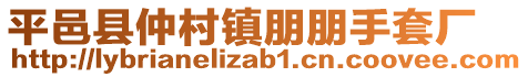 平邑縣仲村鎮(zhèn)朋朋手套廠