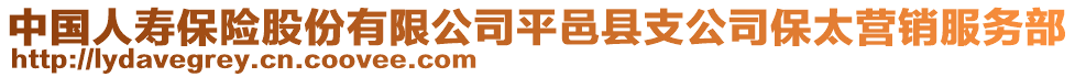 中國人壽保險股份有限公司平邑縣支公司保太營銷服務部