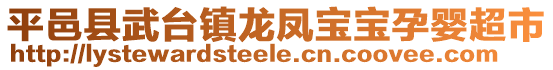 平邑縣武臺(tái)鎮(zhèn)龍鳳寶寶孕嬰超市